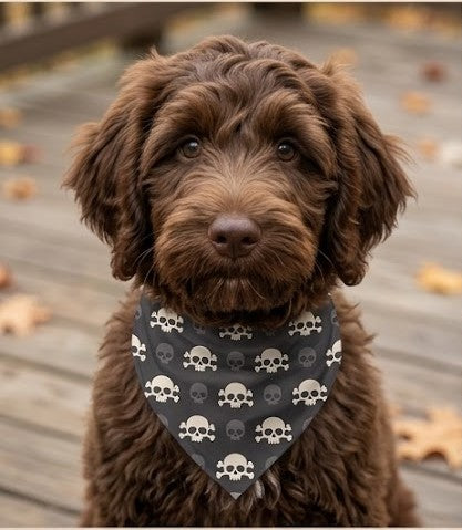 Style Up Your Pooch! Skull Bandana for Rocker Dogs