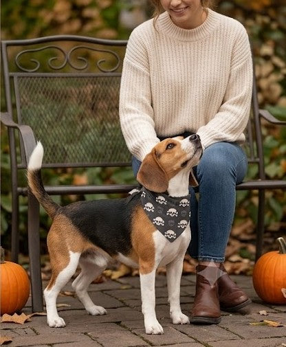 Style Up Your Pooch! Skull Bandana for Rocker Dogs